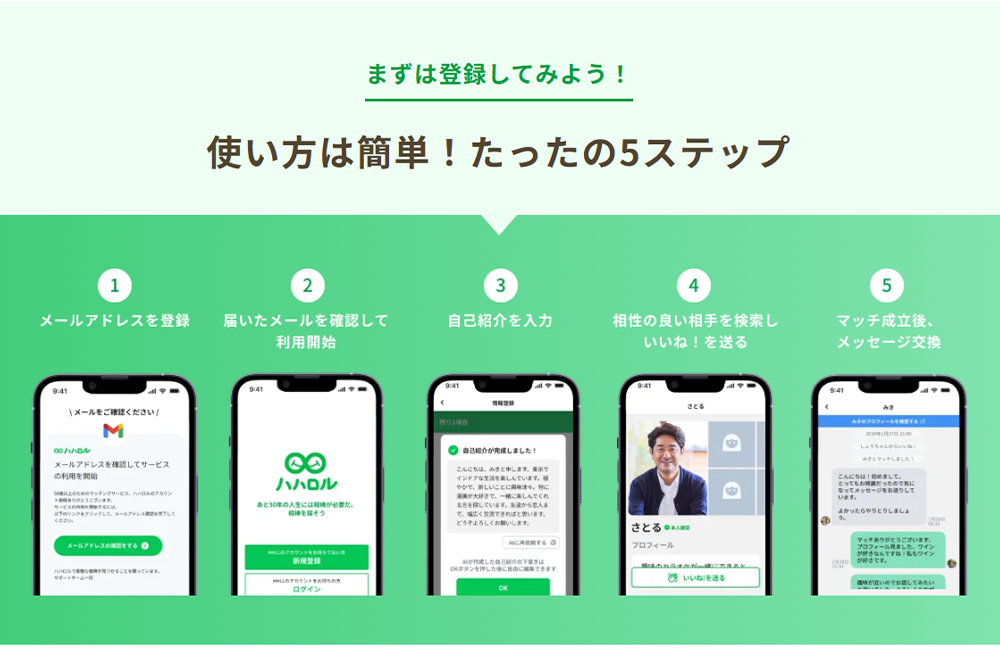 ハハロルのサイトキャプチャー4